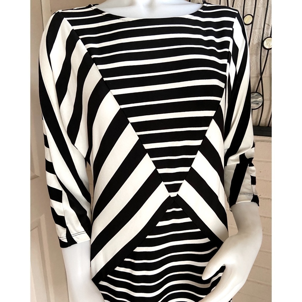 𝅺eci Multi Black /White Stripped Dress